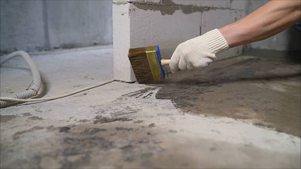 24/7 Emergency Crawl Space Encapsulation experts in Hewlett, NY